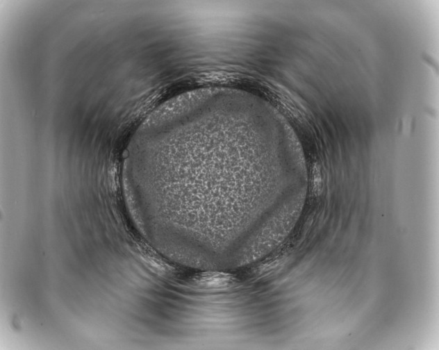 X0000094960514200712201203