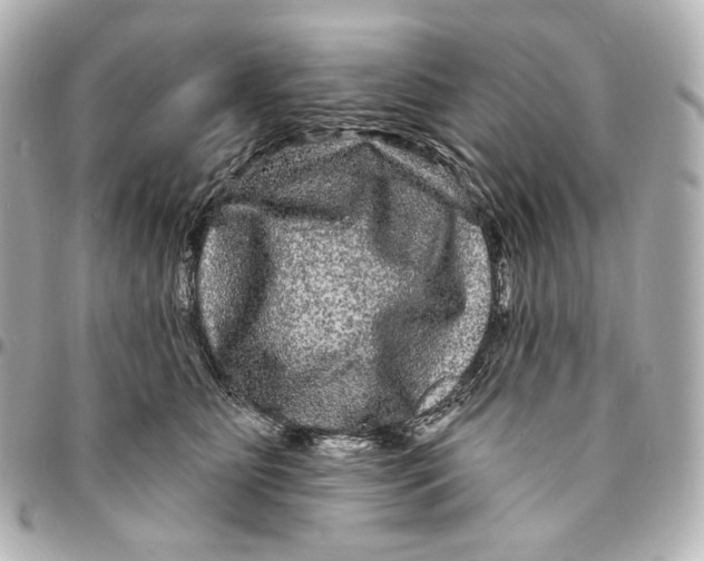 X0000094960515200712201203