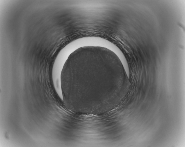 X0000094960516200712201203