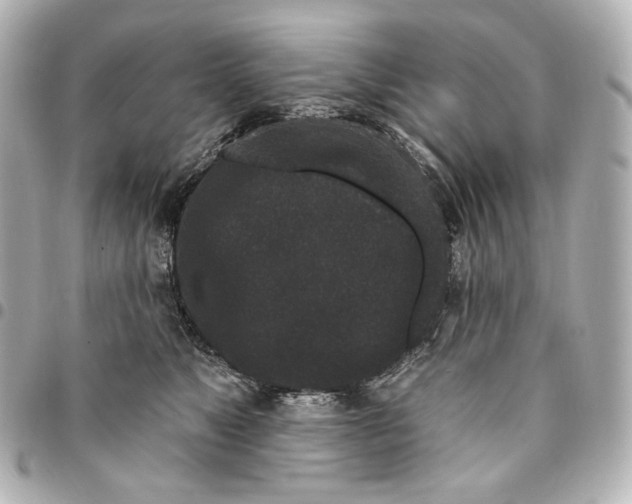 X0000094960517200712201203