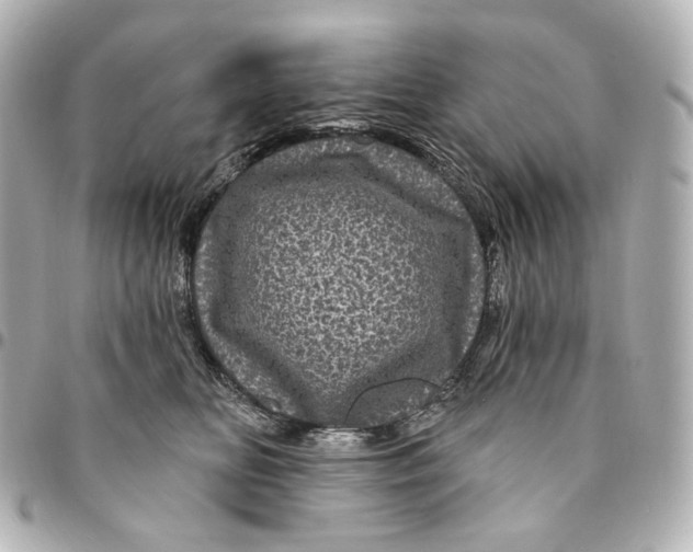 X0000094960518200712201203