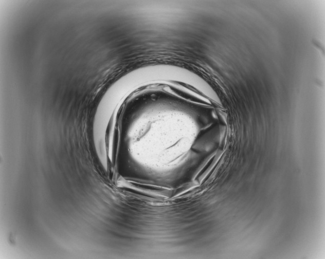 X0000094960520200712201203