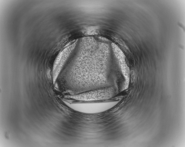 X0000094960521200712201203