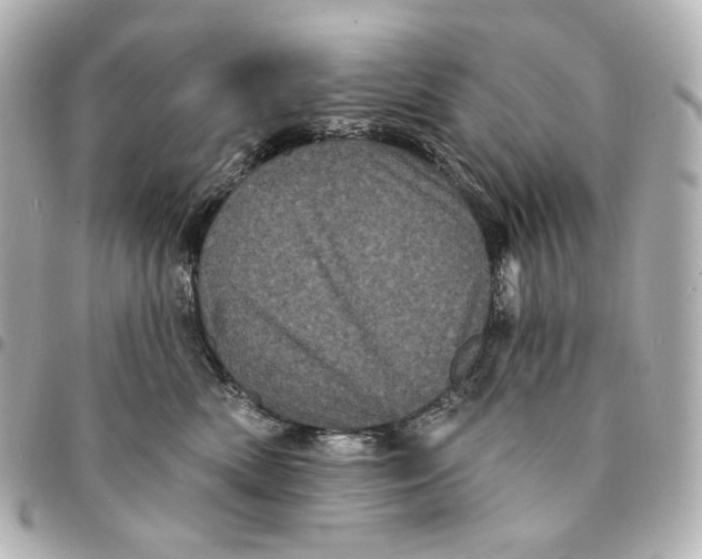 X0000094960522200712201203