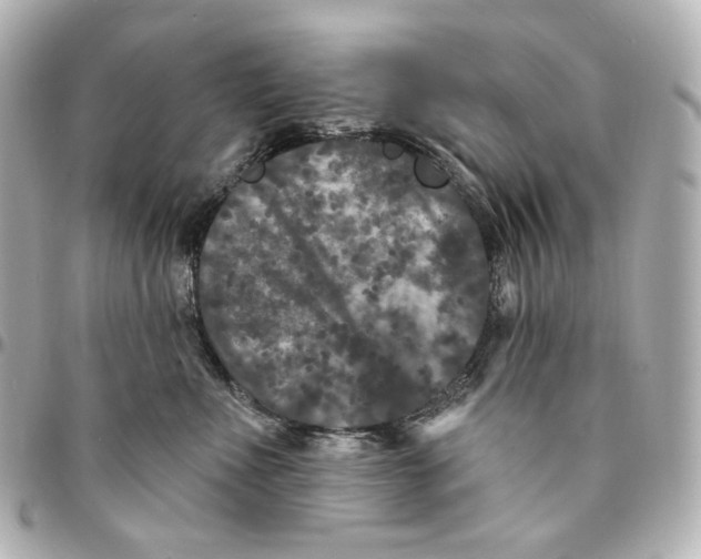 X0000094960523200712201203