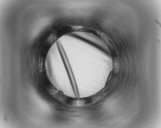 X0000094960525200712201203