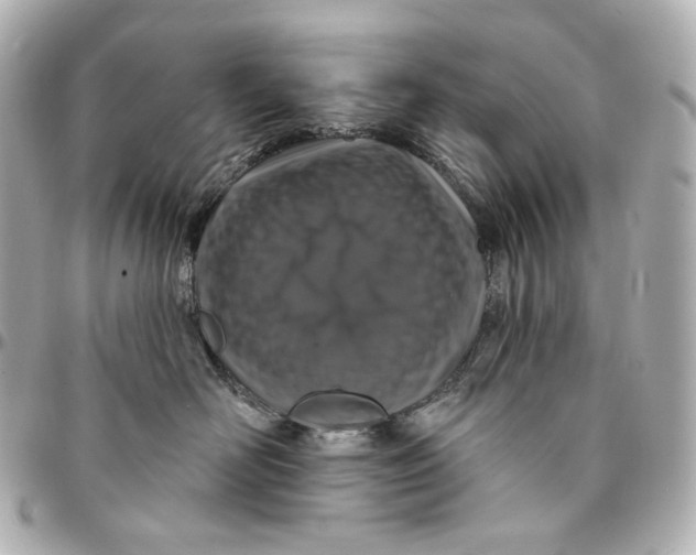 X0000094960526200712201203