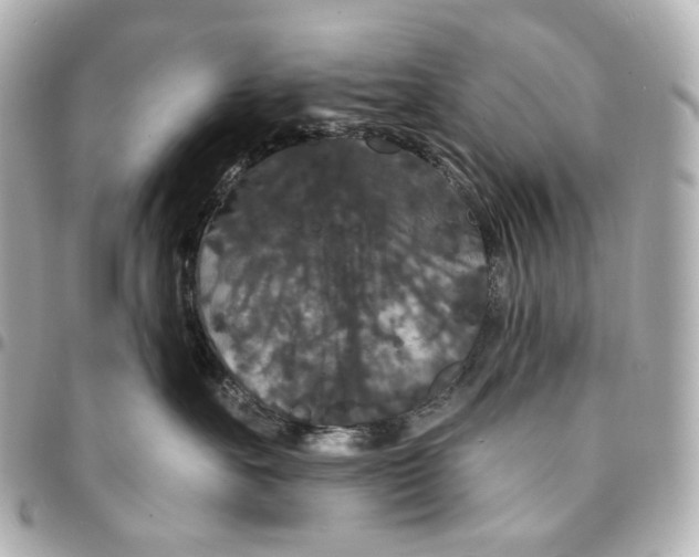 X0000094960527200712201203