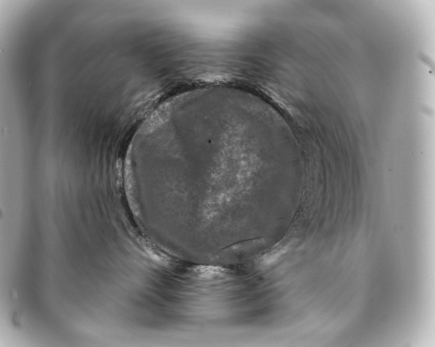 X0000094960528200712201203