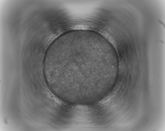 X0000094960529200712201202