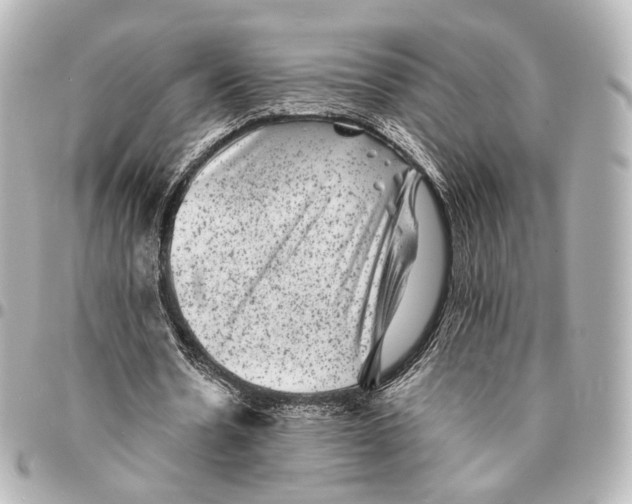 X0000094960530200712201202