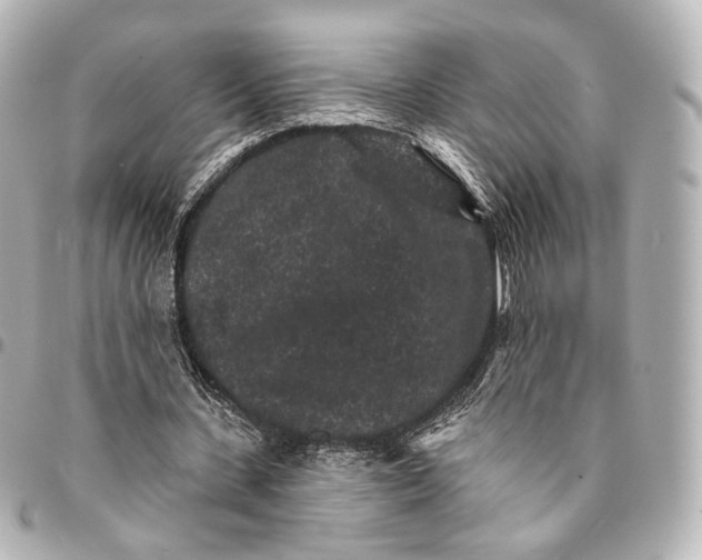 X0000094960531200712201202