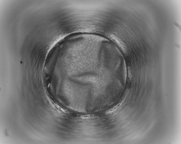 X0000094960532200712201202