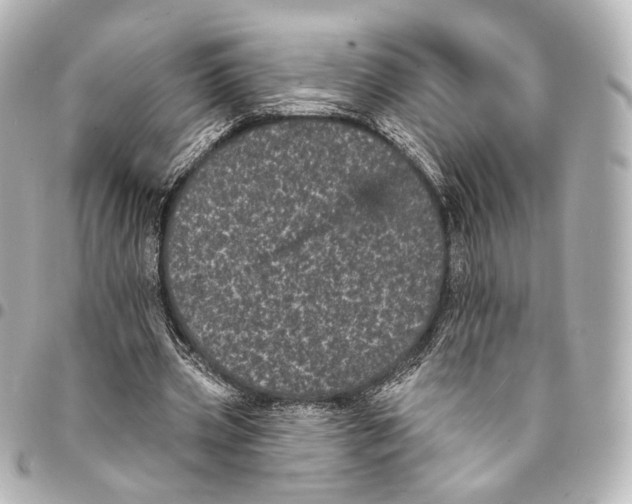 X0000094960533200712201202