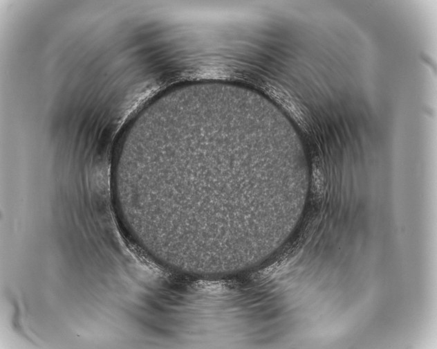 X0000094960534200712201202