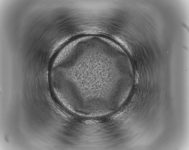 X0000094960535200712201202