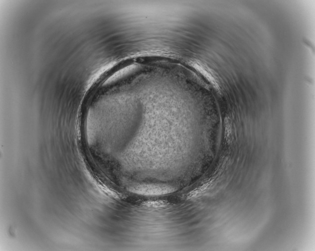 X0000094960536200712201203