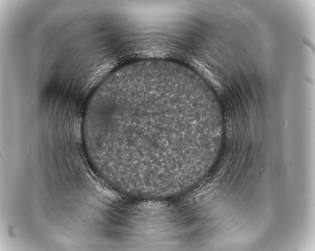 X0000094960537200712201203