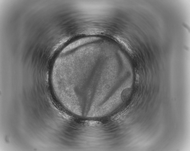 X0000094960539200712201203