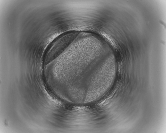 X0000094960540200712201203