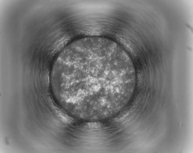 X0000094960541200712201203