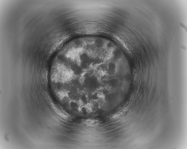 X0000094960542200712201203