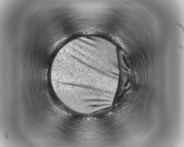 X0000094960543200712201203