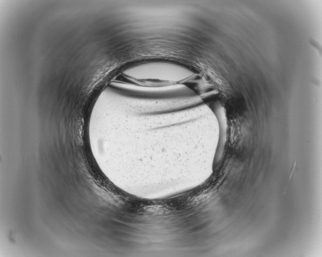 X0000094960544200712201203