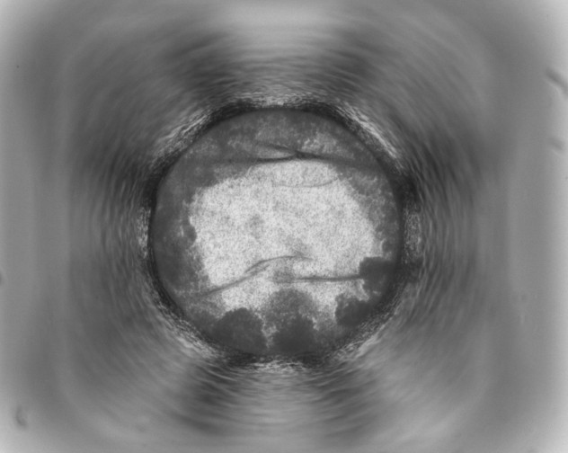 X0000094960545200712201203