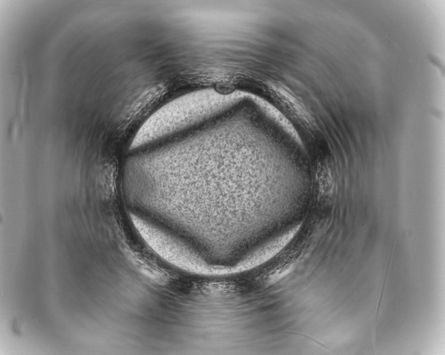 X0000094960546200712201203