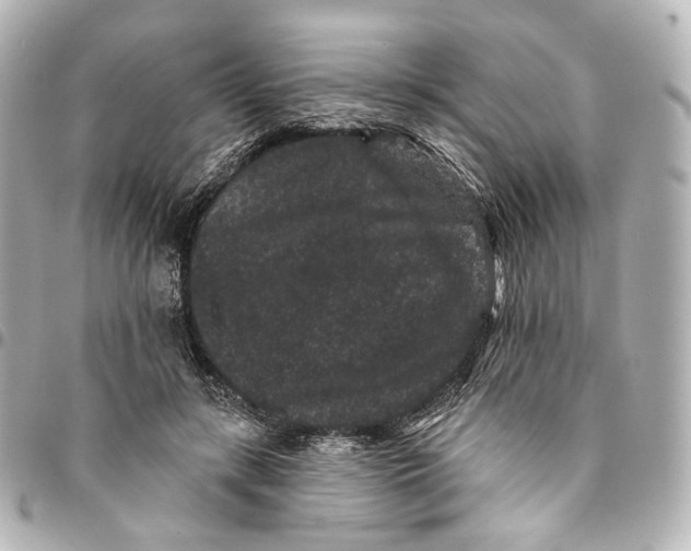 X0000094960547200712201203