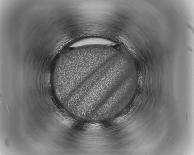 X0000094960548200712201203