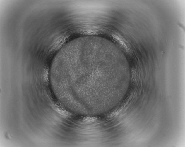 X0000094960549200712201203