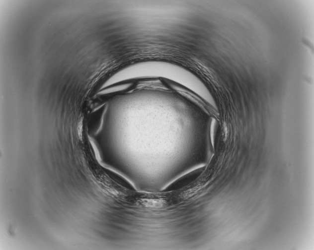 X0000094960552200712201203