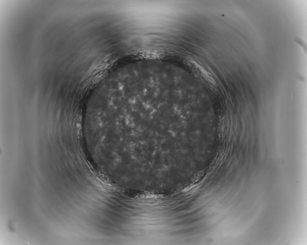 X0000094960553200712201203