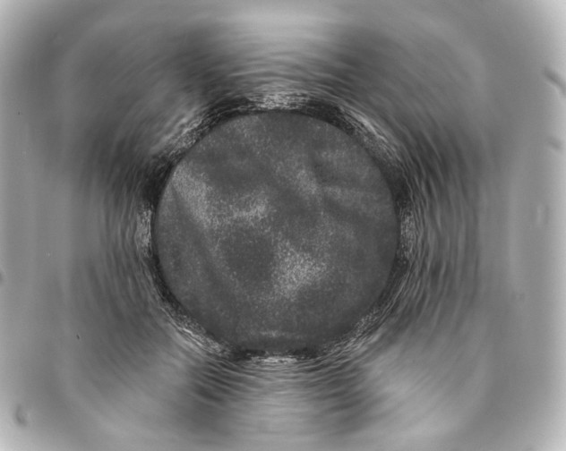 X0000094960554200712201203