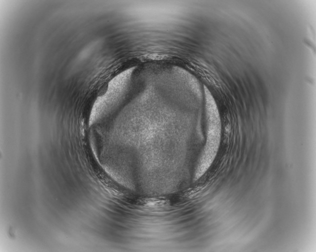 X0000094960555200712201203