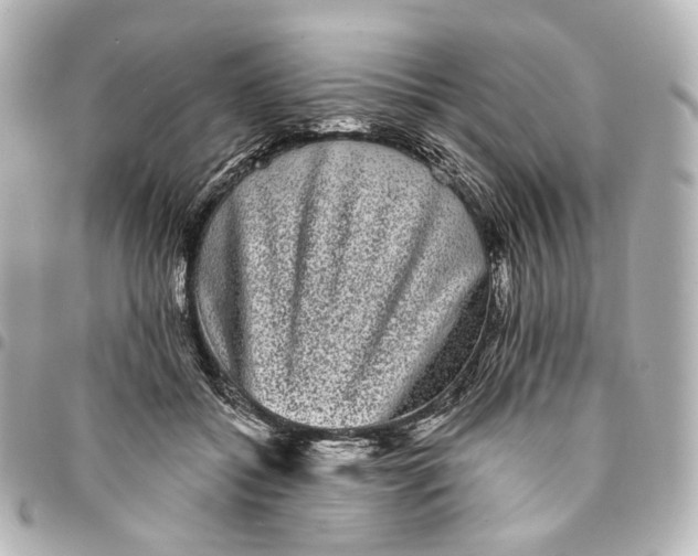 X0000094960556200712201203