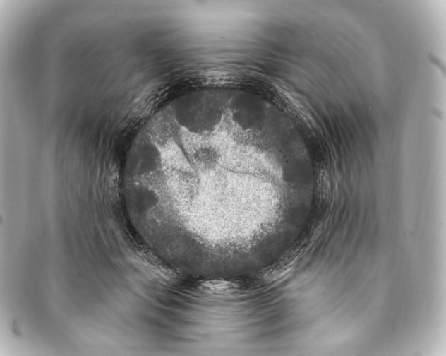 X0000094960557200712201203