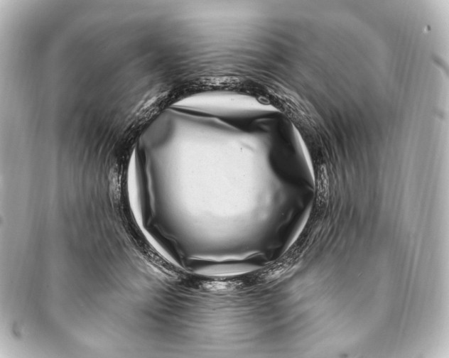 X0000094960558200712201203