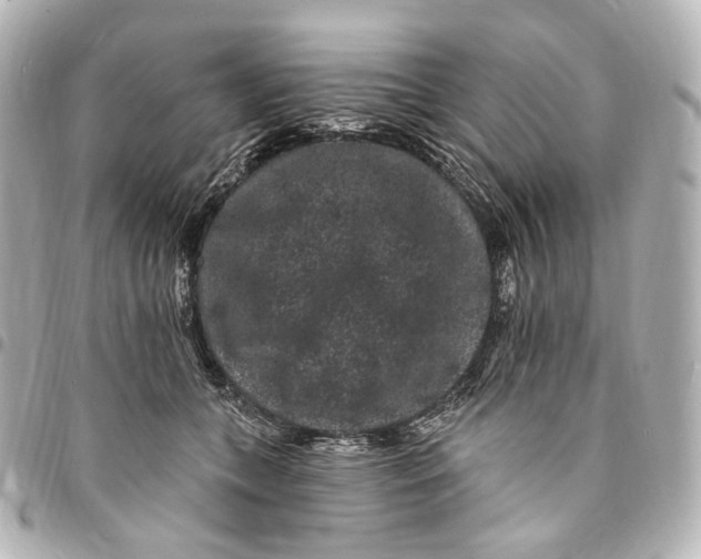 X0000094960559200712201203