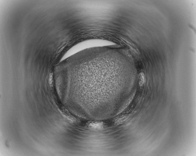 X0000094960560200712201203