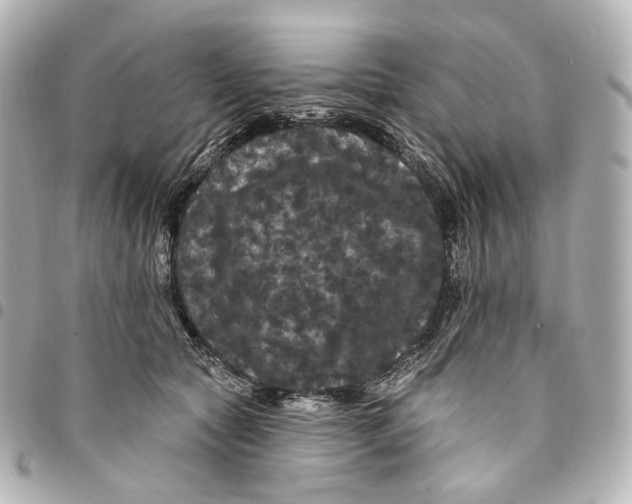 X0000094960561200712201203