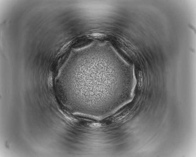 X0000094960562200712201203