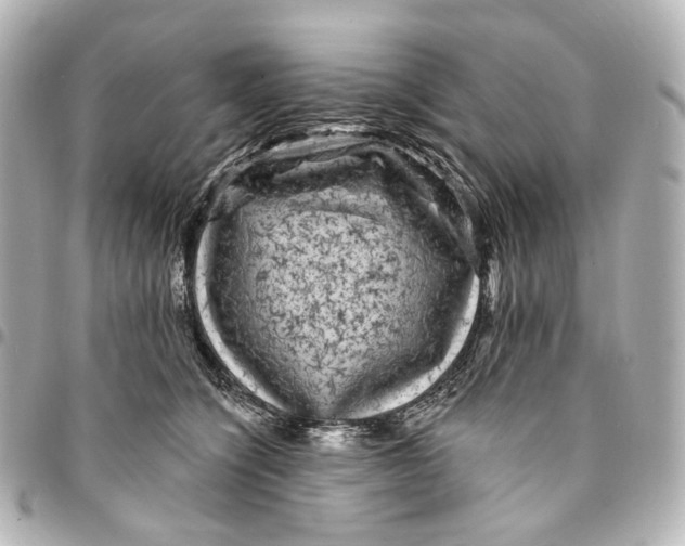 X0000094960564200712201203