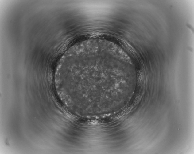 X0000094960565200712201203