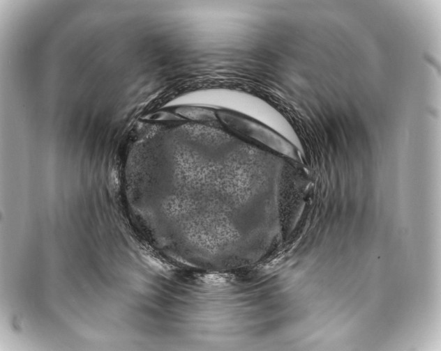 X0000094960566200712201203