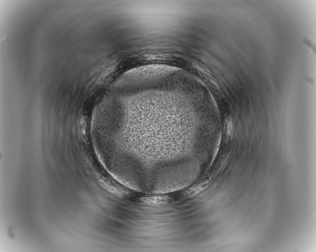 X0000094960567200712201203