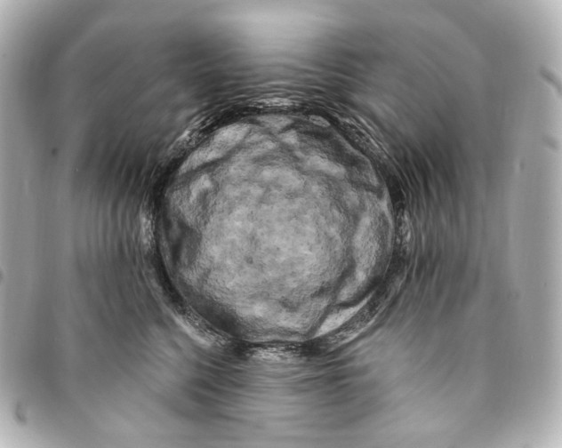 X0000094960568200712201203