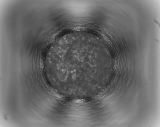 X0000094960569200712201203